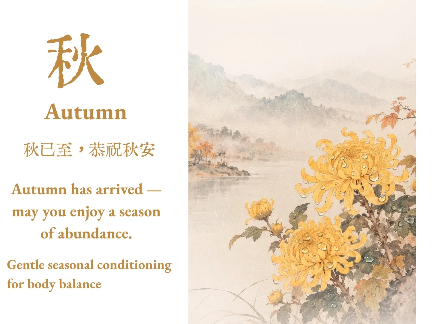秋 · 国风节气海报：姜黄字“秋”与秋菊山水
